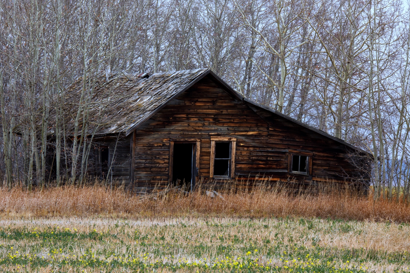 Homestead in Late Fall - Fairview, Ab ii