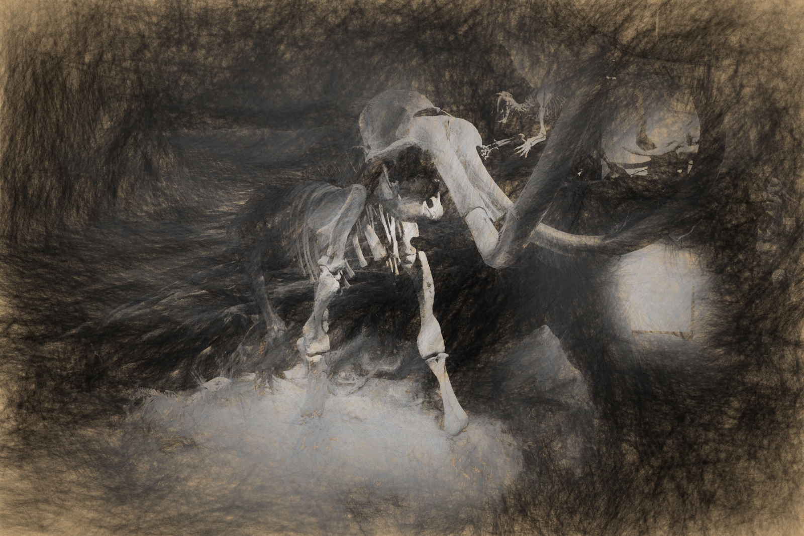 Dinosaur - Drumheller, Ab - Canada 1