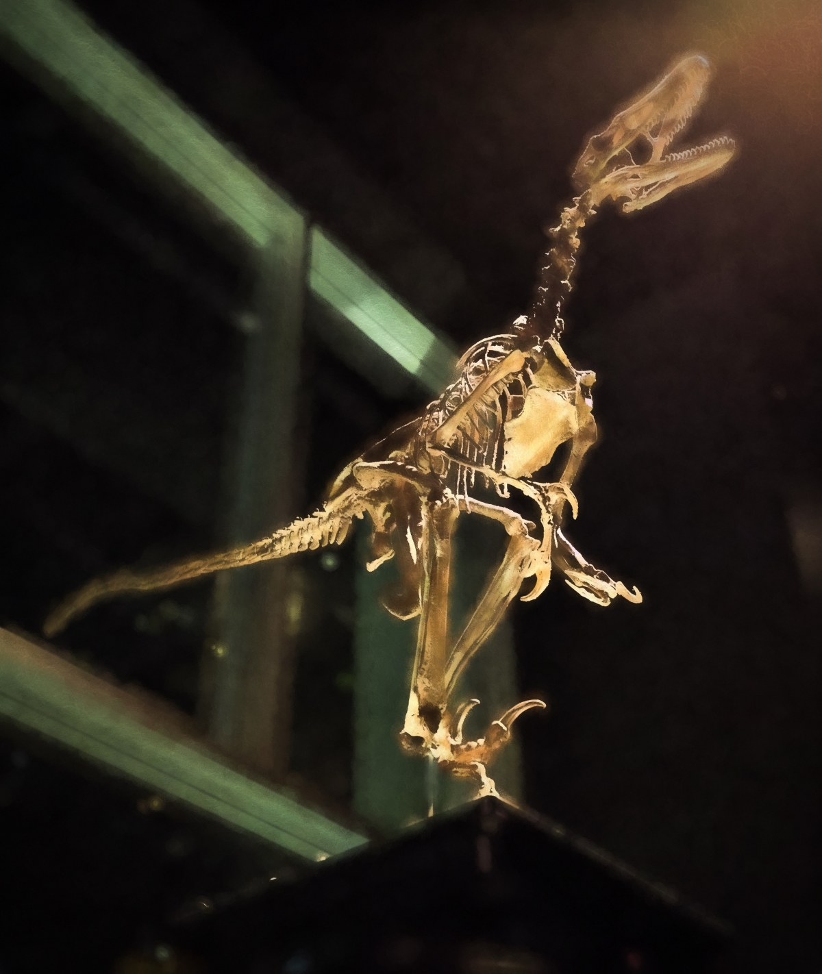 Dinosaur - Drumheller, Ab - Canada 5