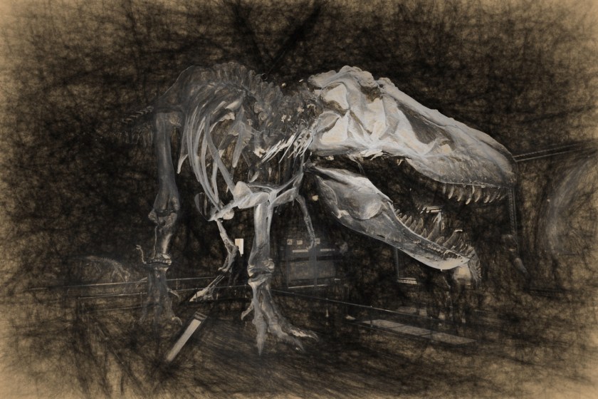 Dinosaur - Drumheller, Ab - Canada 7