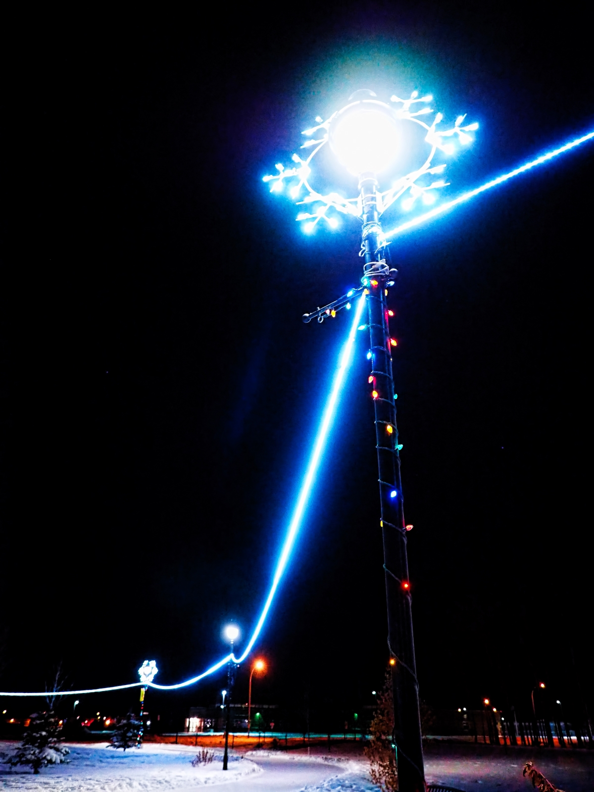 Christmas Lights - Town Hall, High Level 1