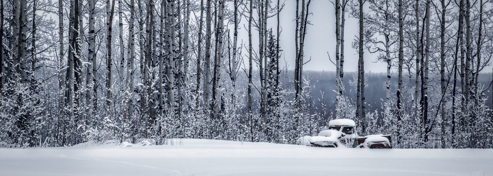 Fifties Ford - Fort Vermilion, Ab - Canada