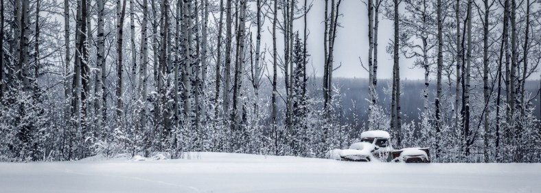 Fifties Ford - Fort Vermilion, Ab - Canada