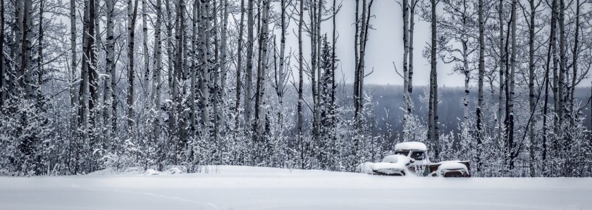 Fifties Ford - Fort Vermilion, Ab - Canada