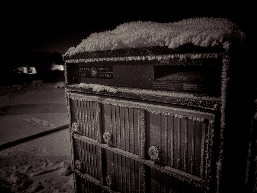 Hoar Frost - High Level, Ab - Canada 1
