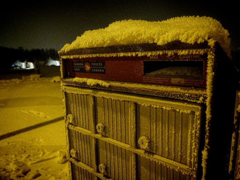 Hoar Frost - High Level, Ab - Canada 2