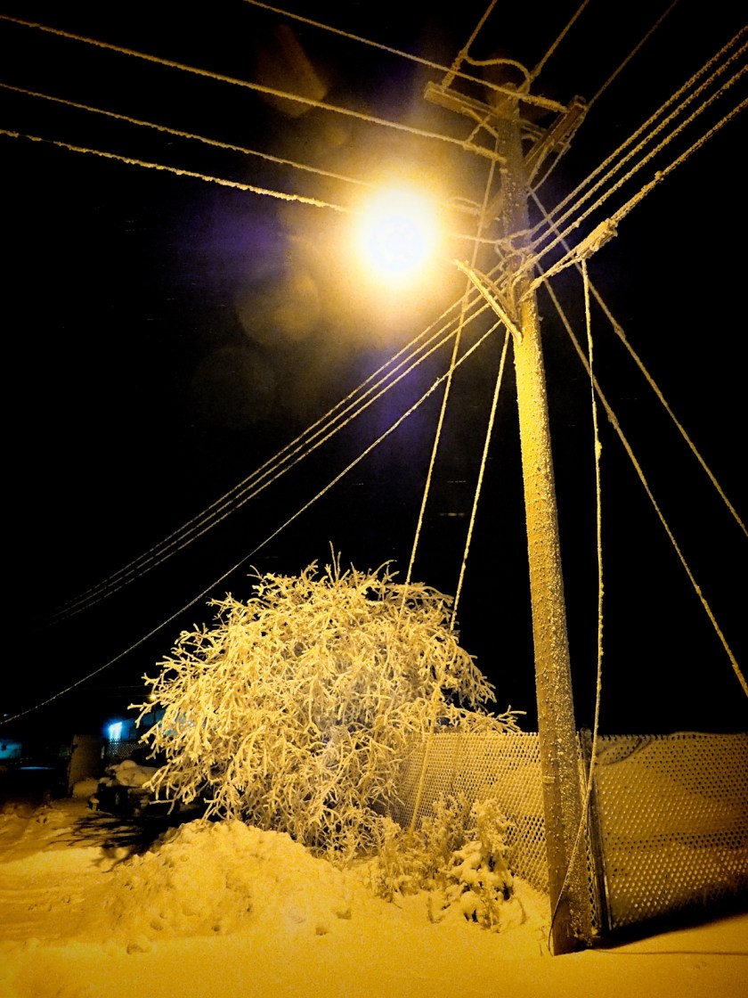 Hoar Frost - High Level, Ab - Canada 3