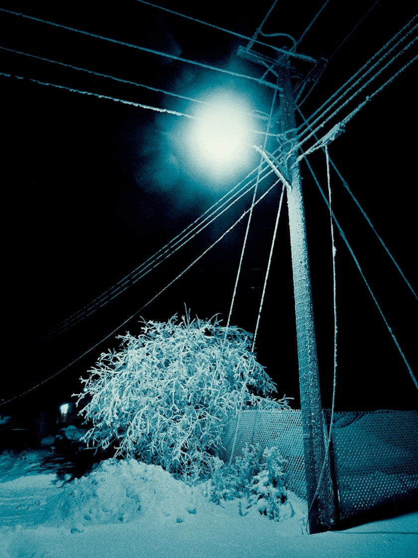 Hoar Frost - High Level, Ab - Canada 4