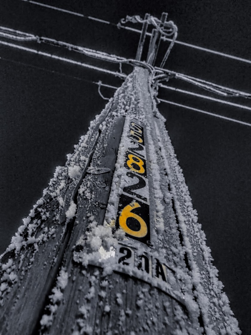 Hoar Frost - High Level, Ab - Canada 5