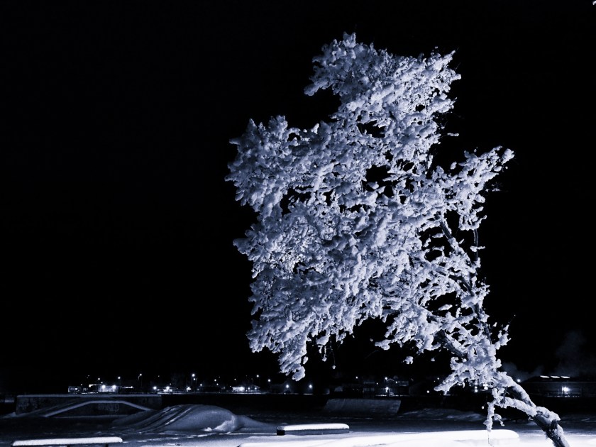 Hoar Frost Morning - High Level, Ab - Canada 10c