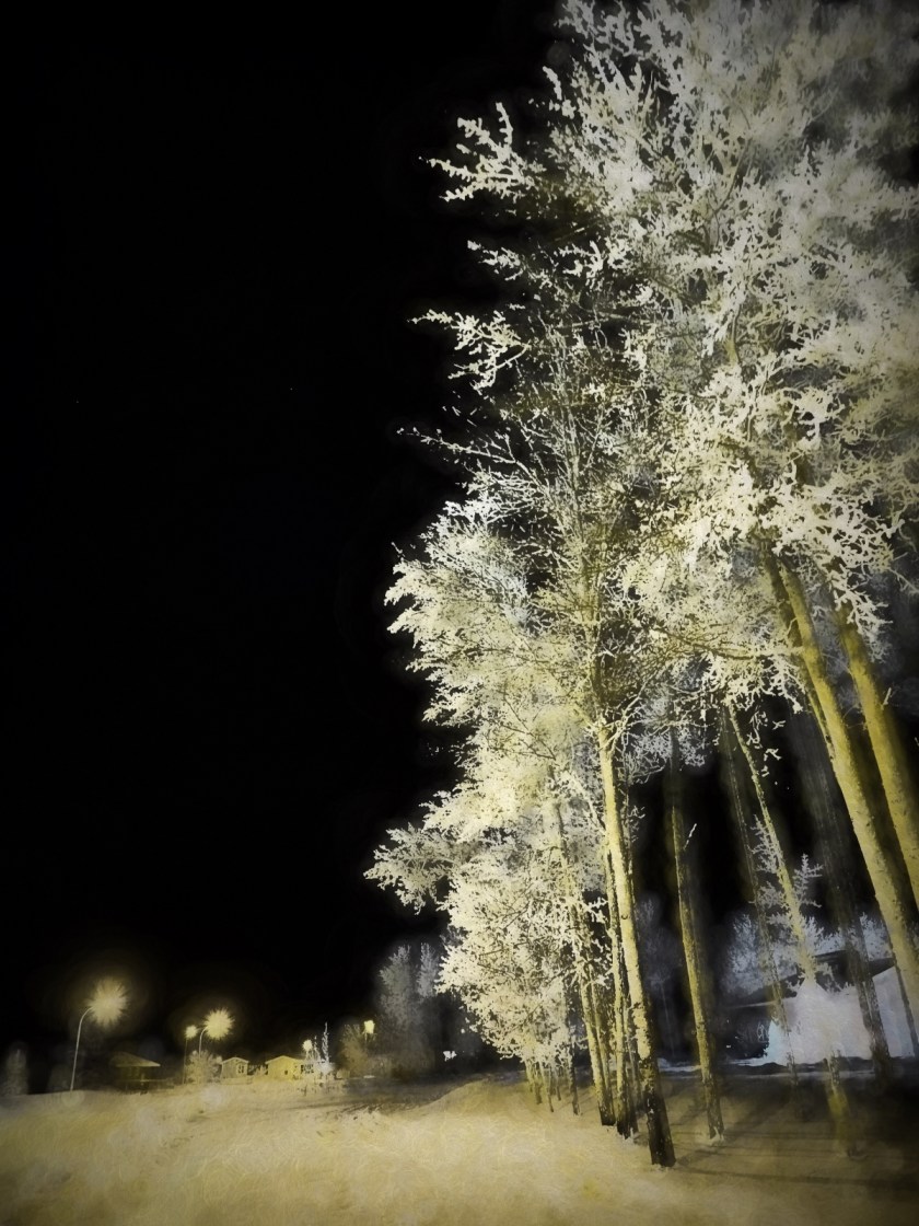 Hoar Frost Morning - High Level, Ab - Canada 13