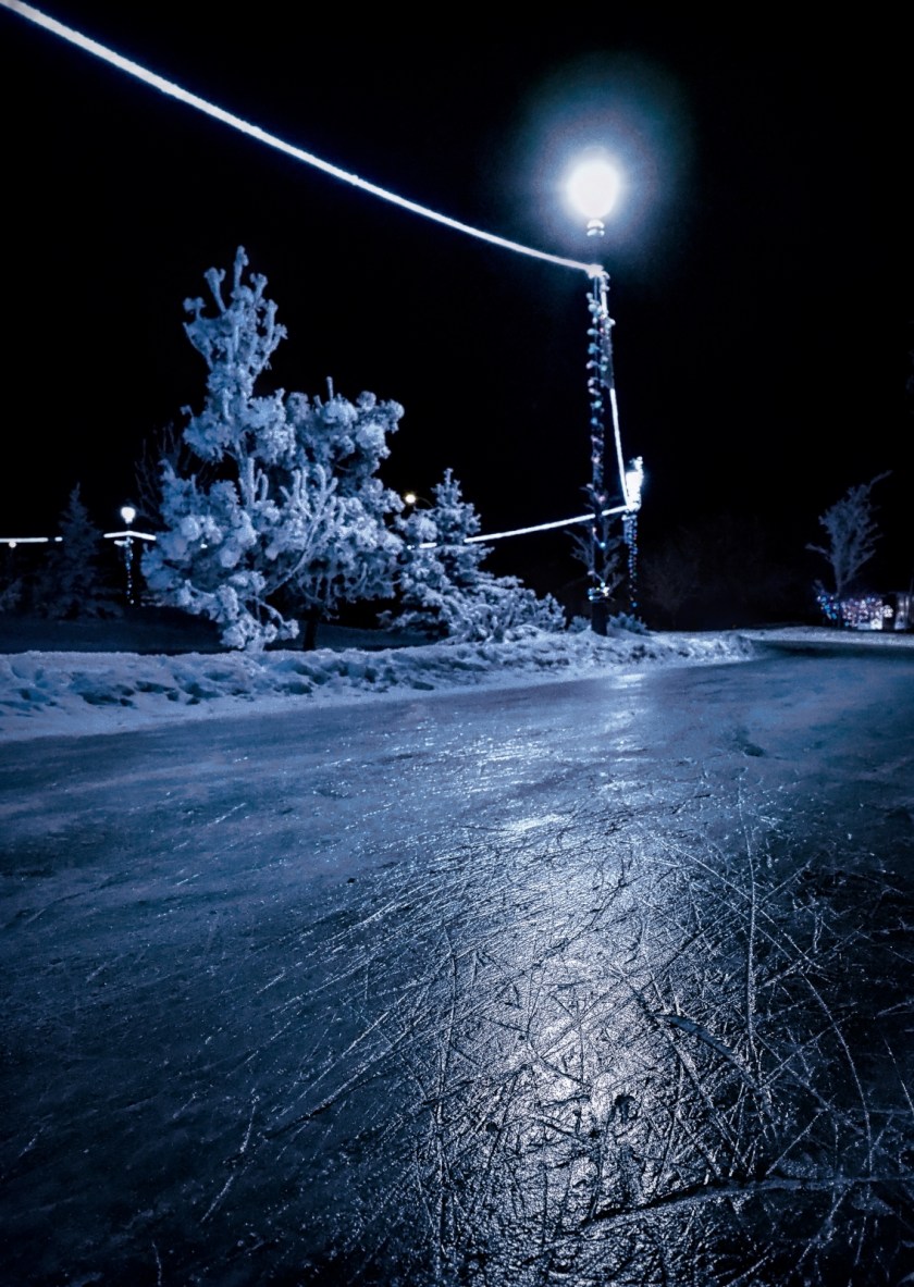 Hoar Frost Morning - High Level, Ab - Canada 13b