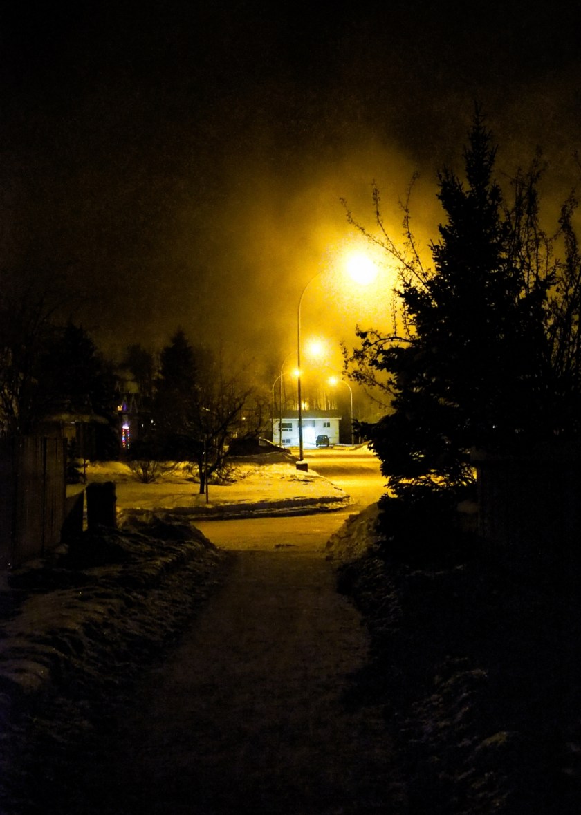 Hoar Frost Morning - High Level, Ab - Canada 15