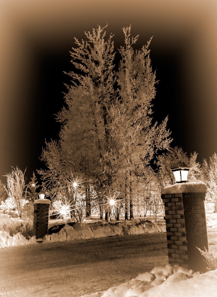 Hoar Frost Morning - High Level, Ab - Canada 2