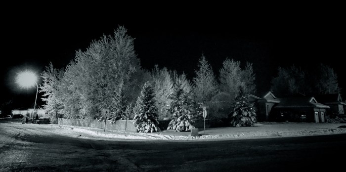 Hoar Frost Morning - High Level, Ab - Canada 2a