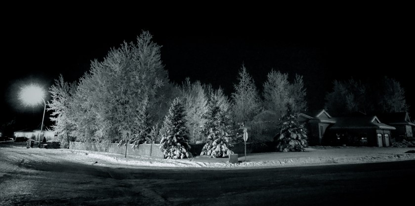 Hoar Frost Morning - High Level, Ab - Canada 2a