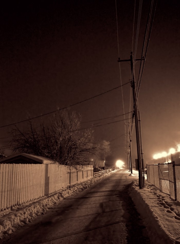 Morning Walk 17