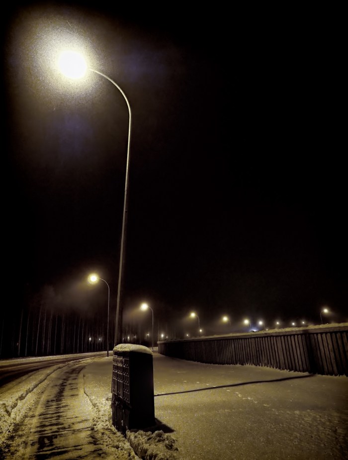 Morning Walk 9