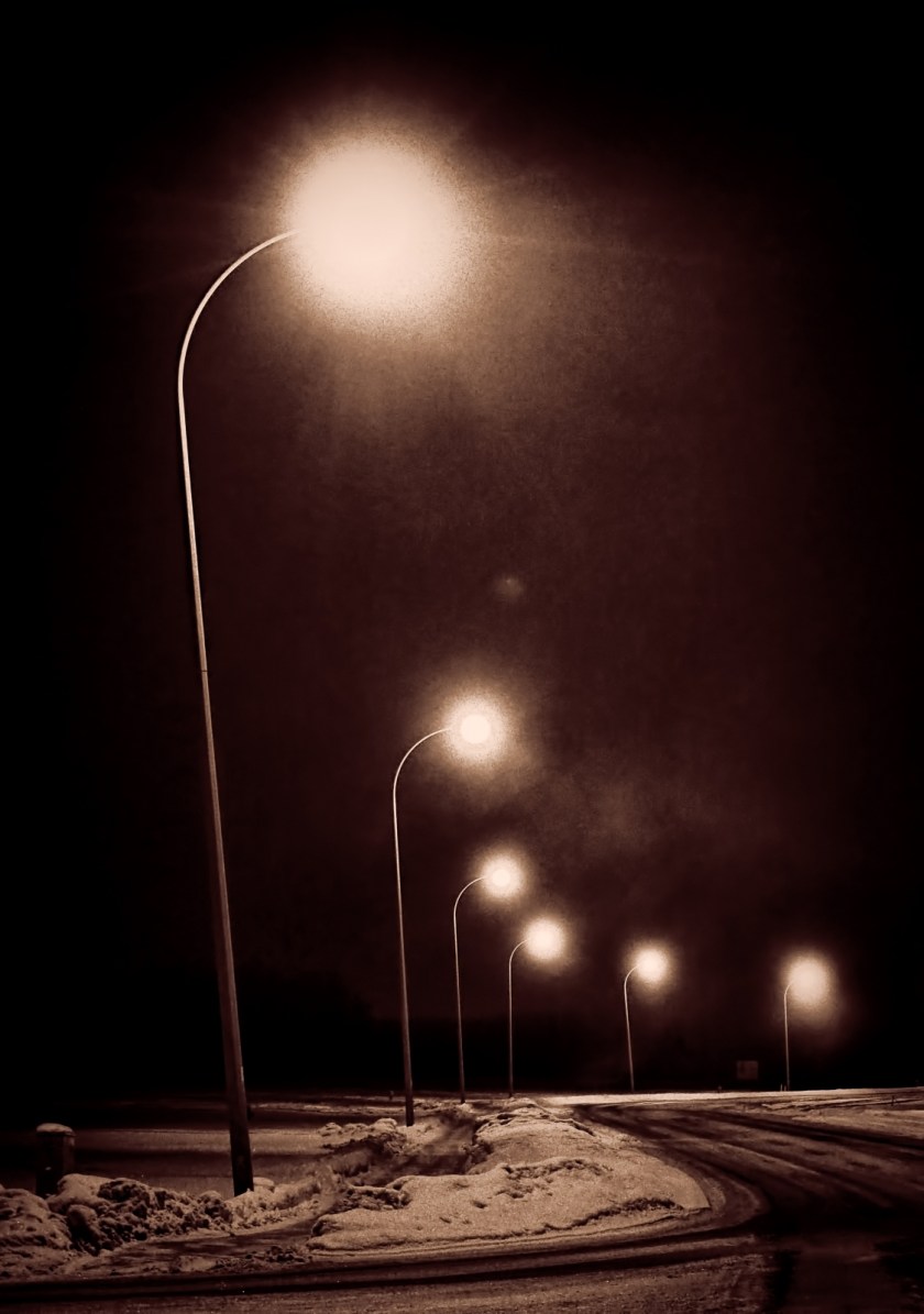 Morning Walk - High Level, Alberta - Canada 1