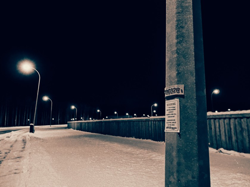 Morning Walk - High Level, Alberta - Canada 3