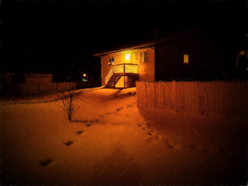 Morning Walk - High Level, Alberta - Canada 6