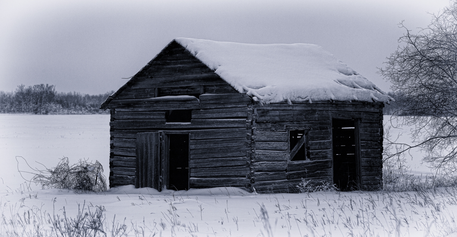 Shed - Buttertown, Ab - Canada 2