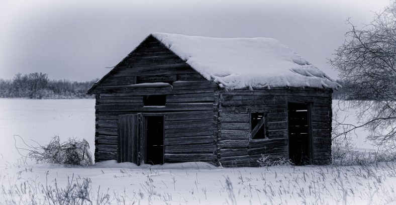 Shed - Buttertown, Ab - Canada 2