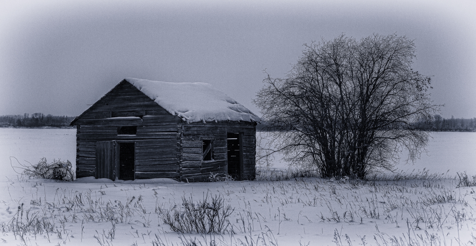 Shed - Buttertown, Ab - Canada 3