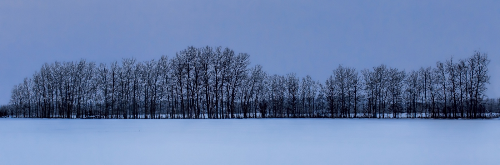 Windrow - Buttertown, Ab - Canada