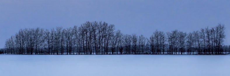 Windrow - Buttertown, Ab - Canada