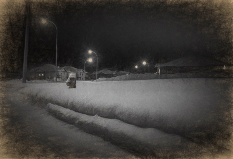 Pencilled - Early Morning Walk, High Level, Ab - Canada 1