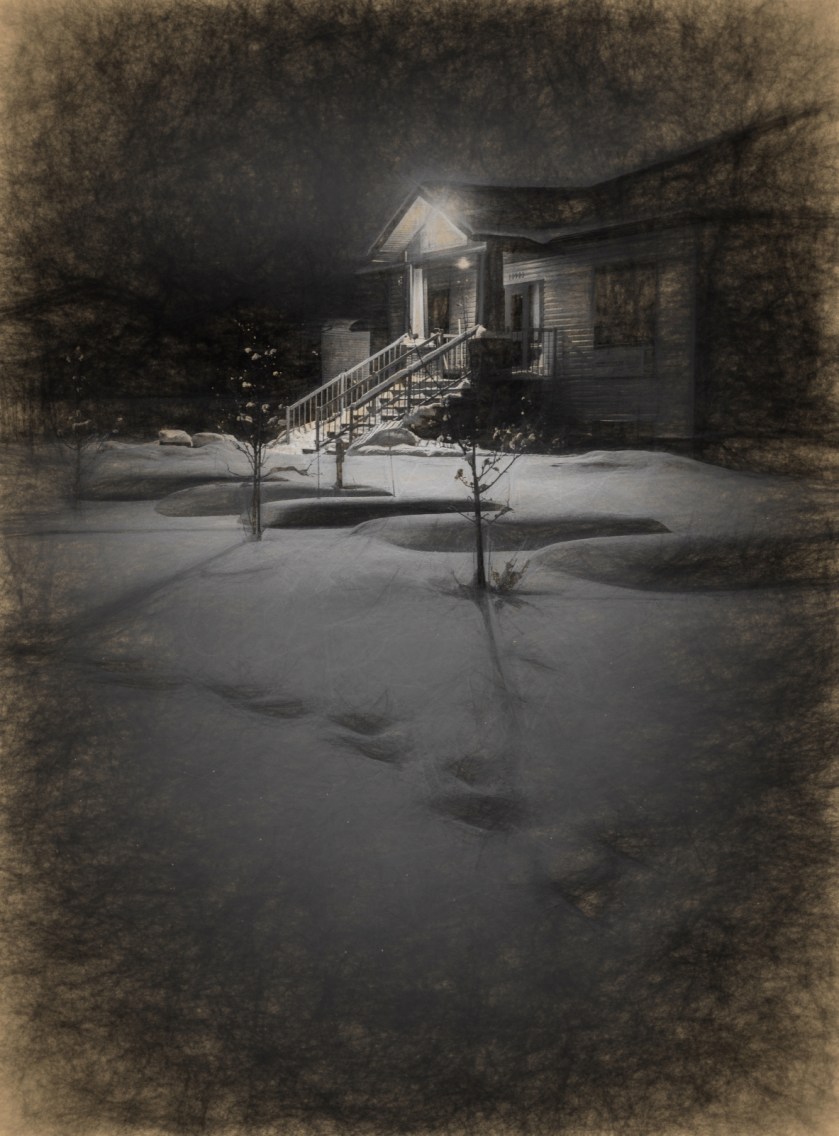 Pencilled - Early Morning Walk, High Level, Ab - Canada 2