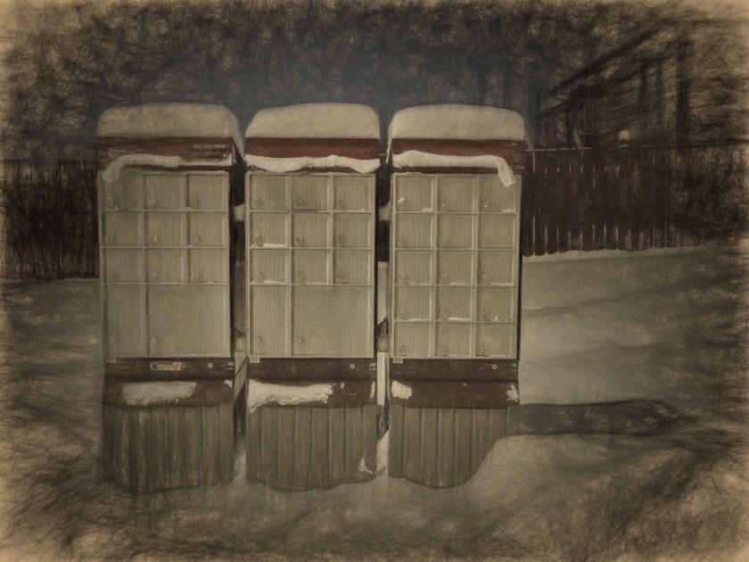 Pencilled - Early Morning Walk, High Level, Ab - Canada 3