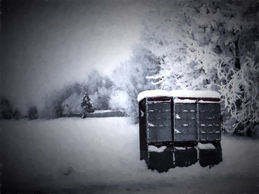 Pencilled - Early Morning Walk, High Level, Ab - Canada 4