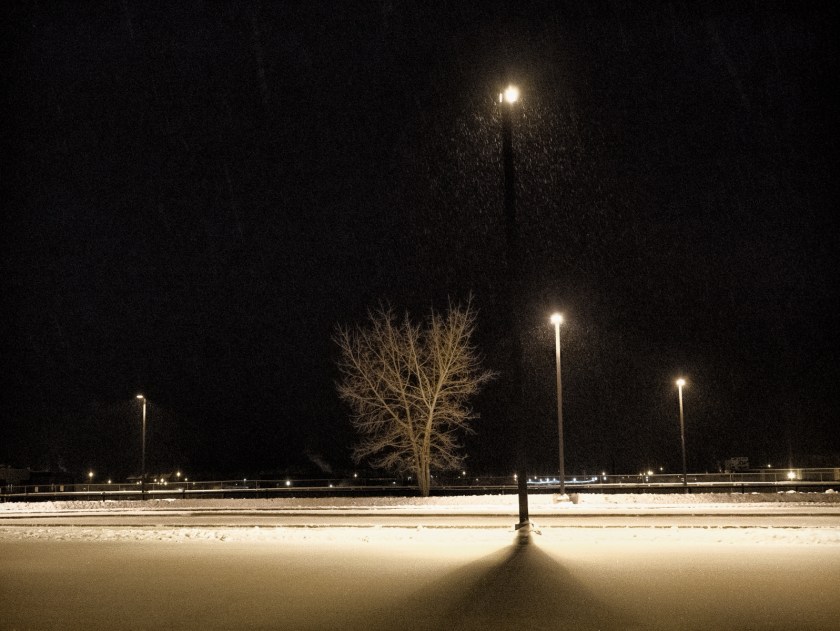 Perpendicularity - High Level, Ab - Canada 4