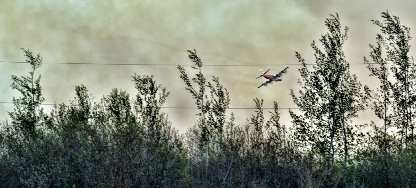Wildfire - High Level, Ab - 4 May 2016 - 17