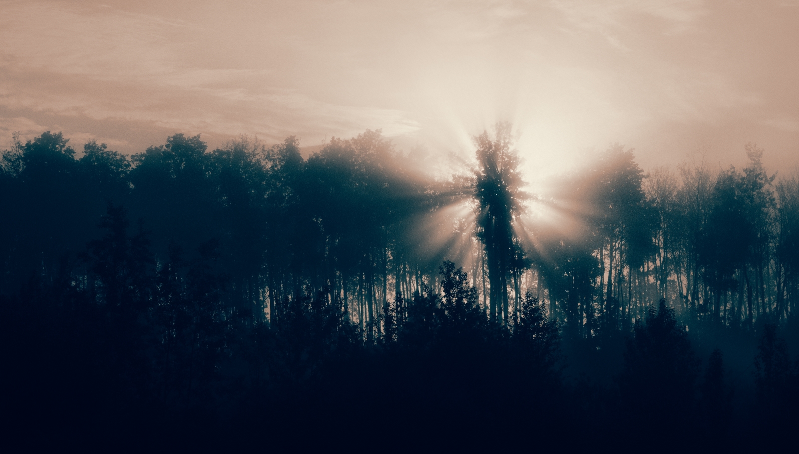 Morning Images - High Level, Alberta - Canada 5