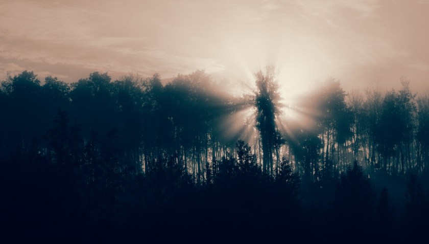 Morning Images - High Level, Alberta - Canada 5