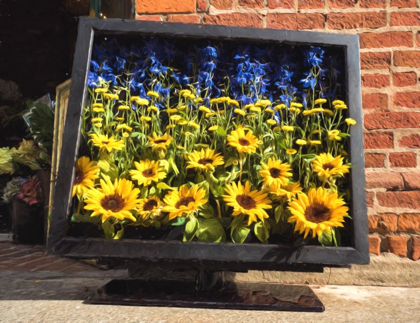 Victoria, British Columbia - 24 September 2016, 12