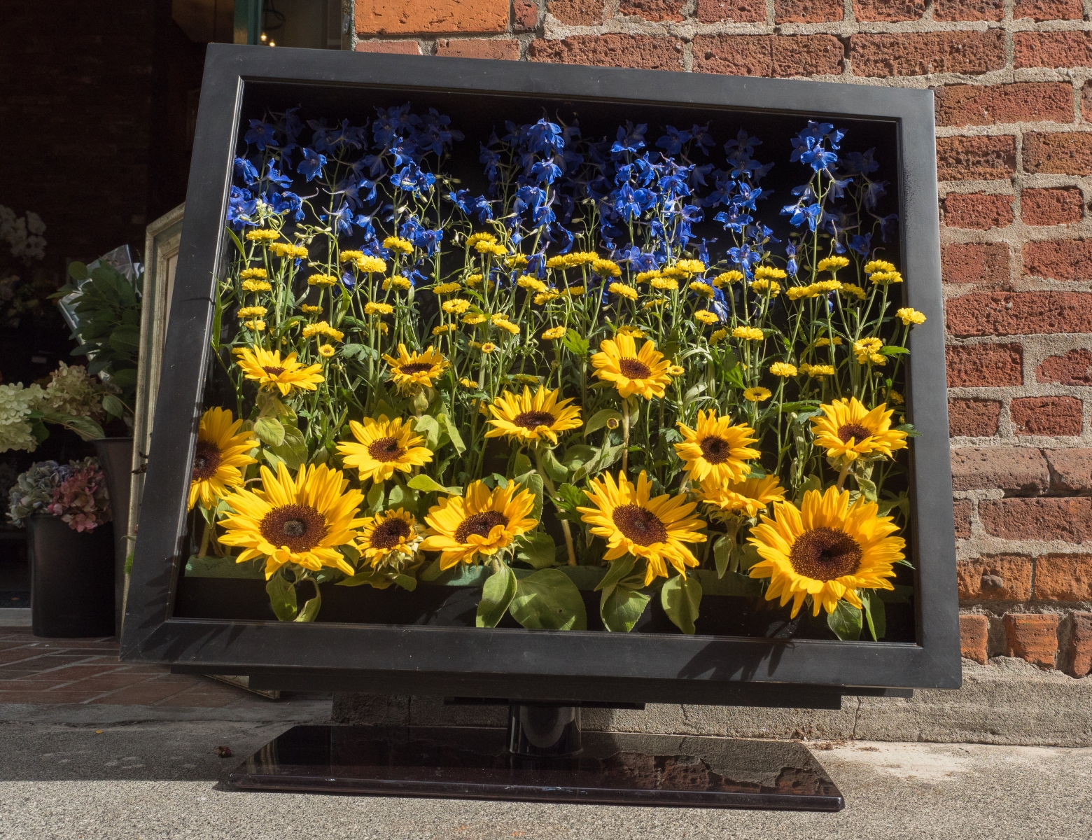 Victoria, British Columbia - 24 September 2016, 2