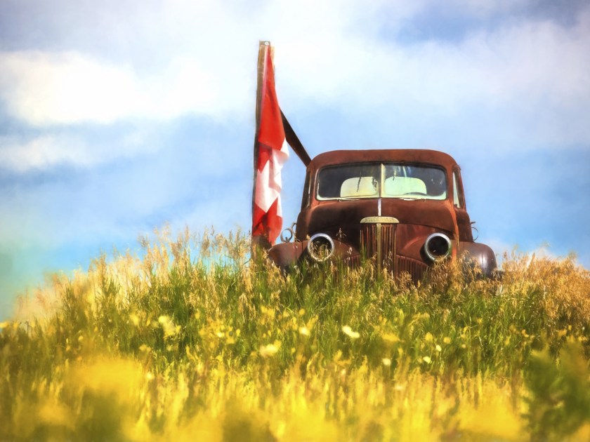 Studebaker Farm Truck - Alberta 2