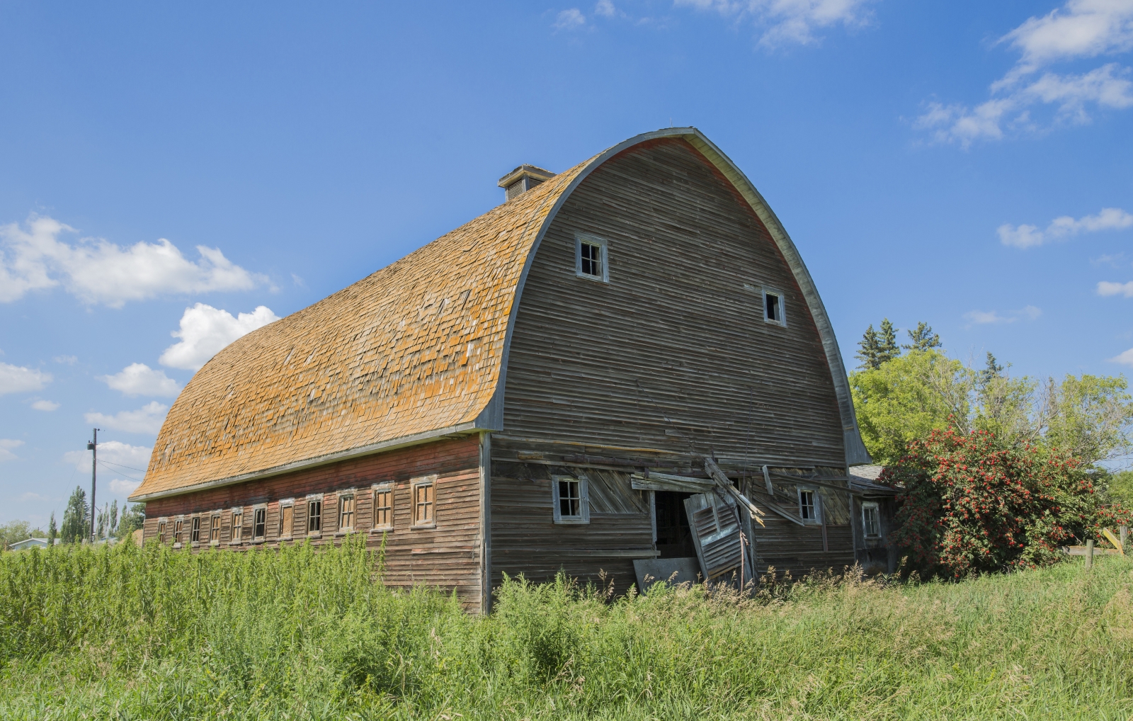 Barn - Hay Lakes, Alberta 1