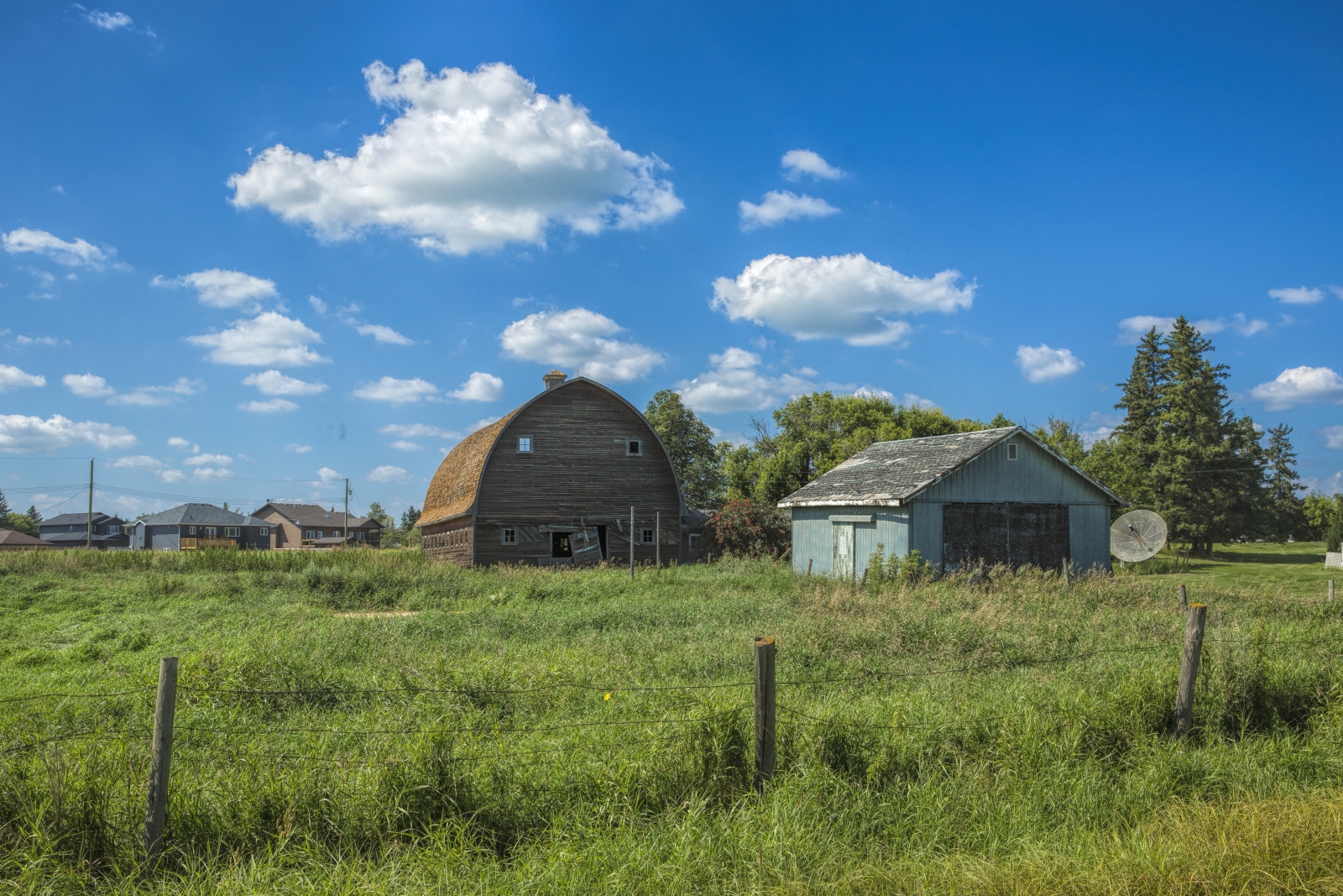 Barn - Hay Lakes, Alberta 2