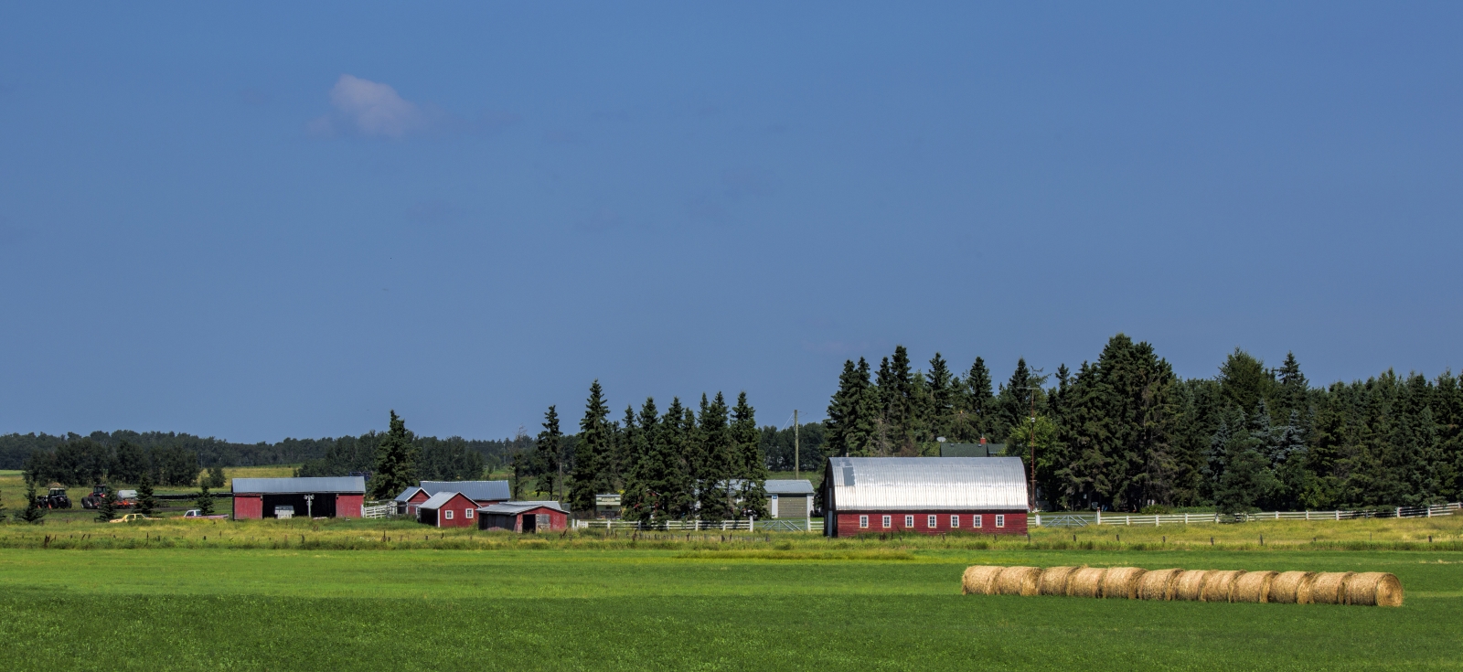 Farm - Hay Lakes, Alberta