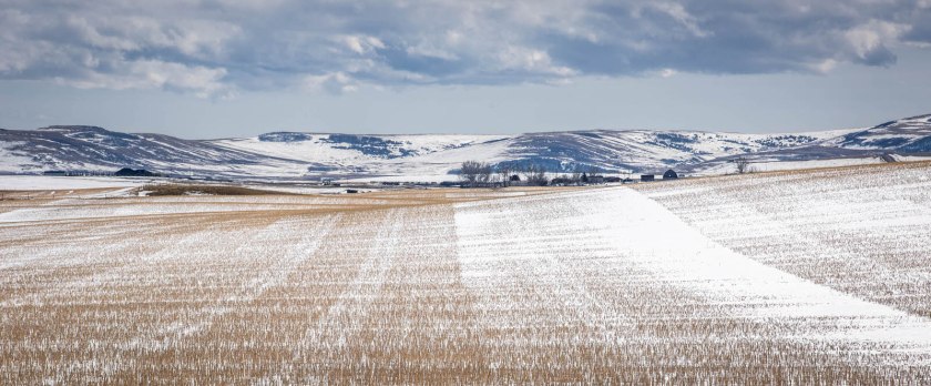 April Snow - Alberta Foothills 1