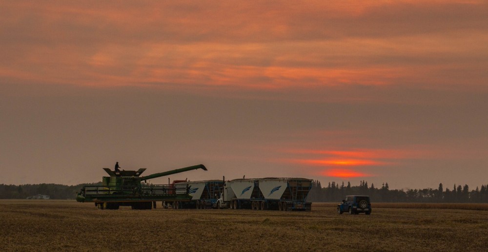 Fall Harvest - Grimshaw, Alberta