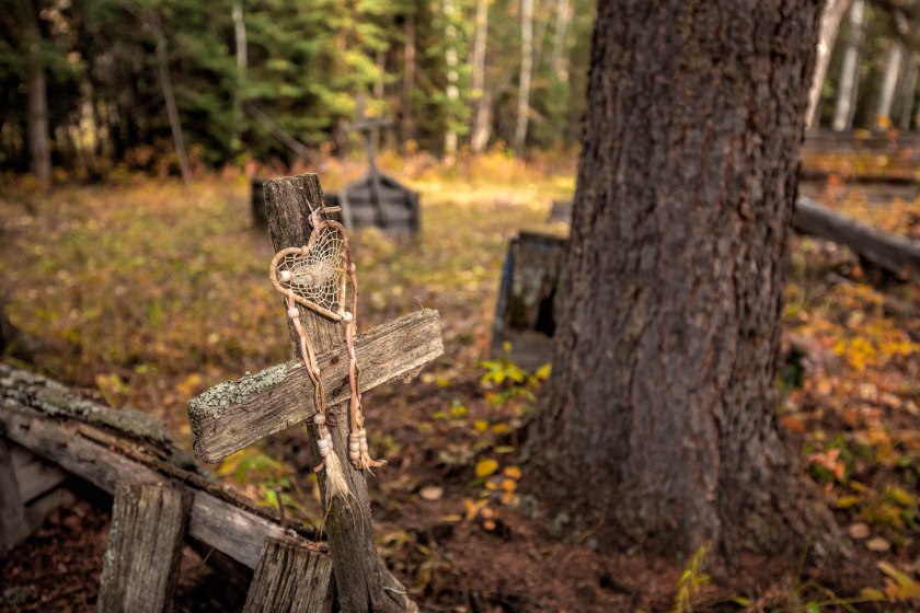 Indian Cabins, Alberta 1