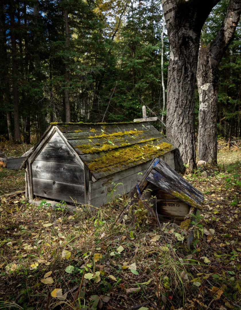Indian Cabins, Alberta 2