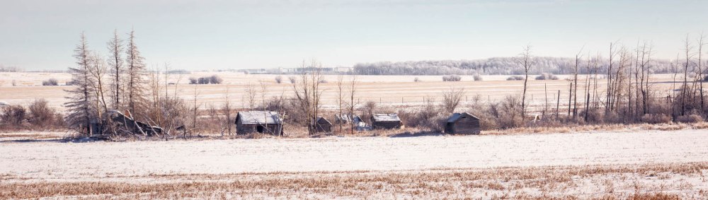 Backroads - La Glace to Sexsmith 2
