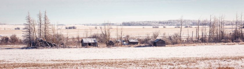 Backroads - La Glace to Sexsmith 2